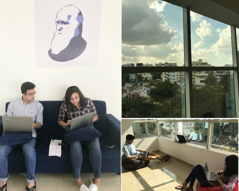 Darwinbox work culture