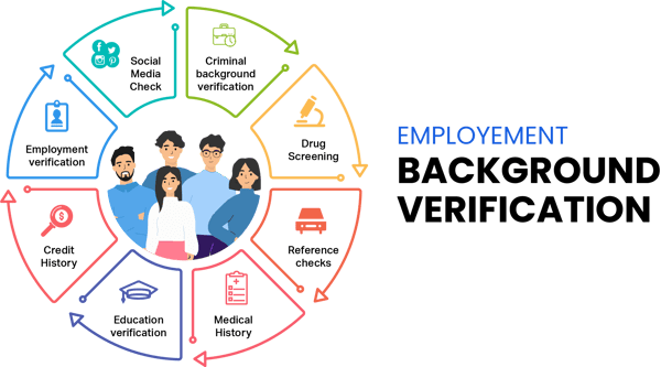 Details 300 what is the background verification process in hr 
