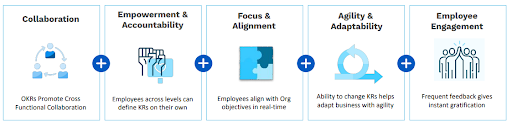 focus-alignment